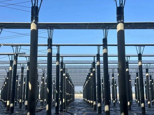 1738823076457954.jpg 微信圖片_20250206142417.jpg